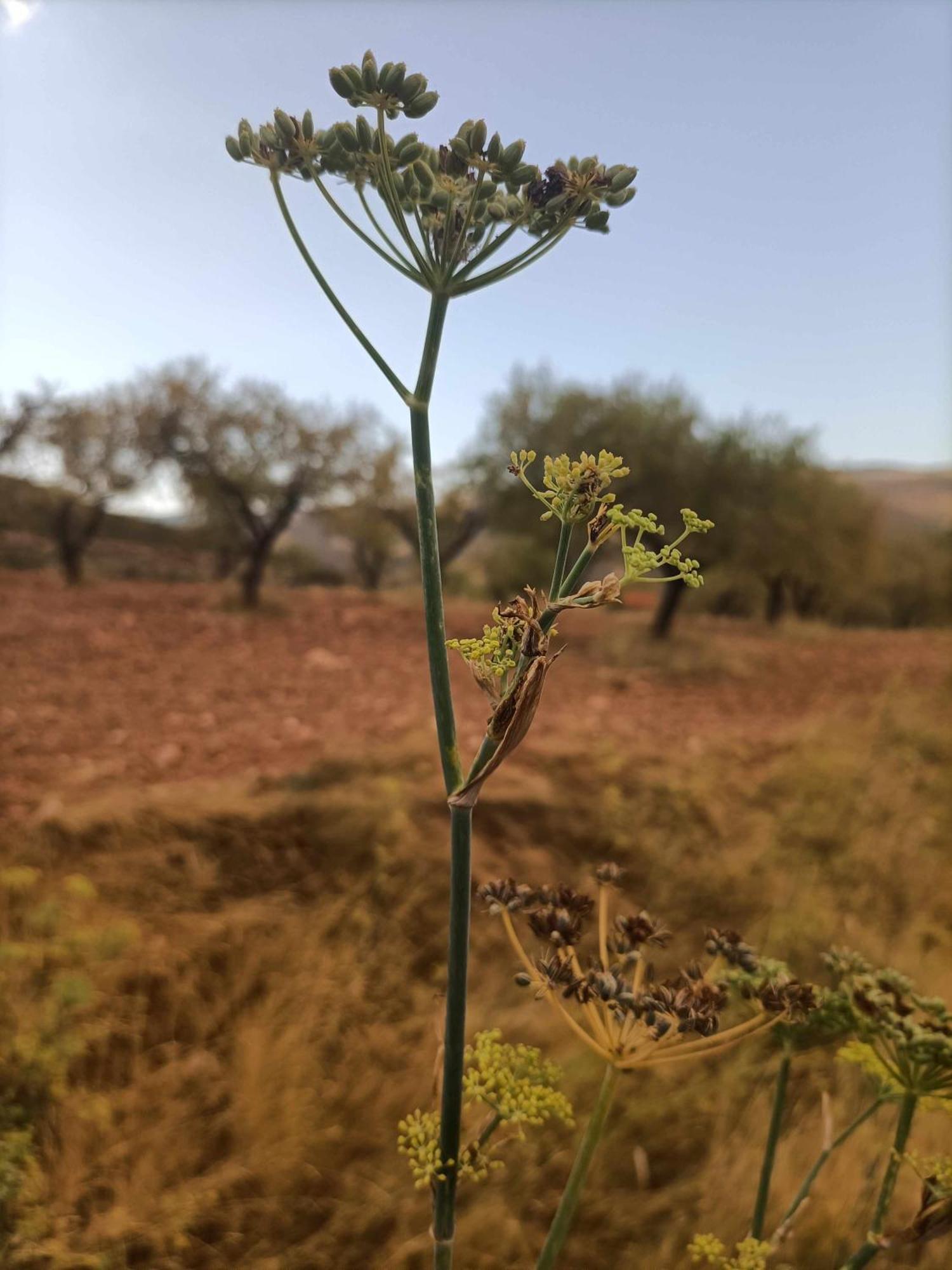 El Mirador Del Rio De Arnedillo Διαμέρισμα Εξωτερικό φωτογραφία